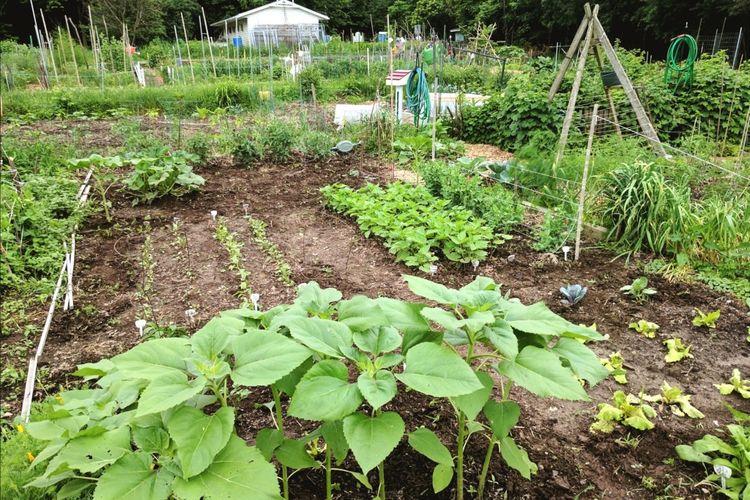 Shorewood Hills Homes for Sale and Realtors